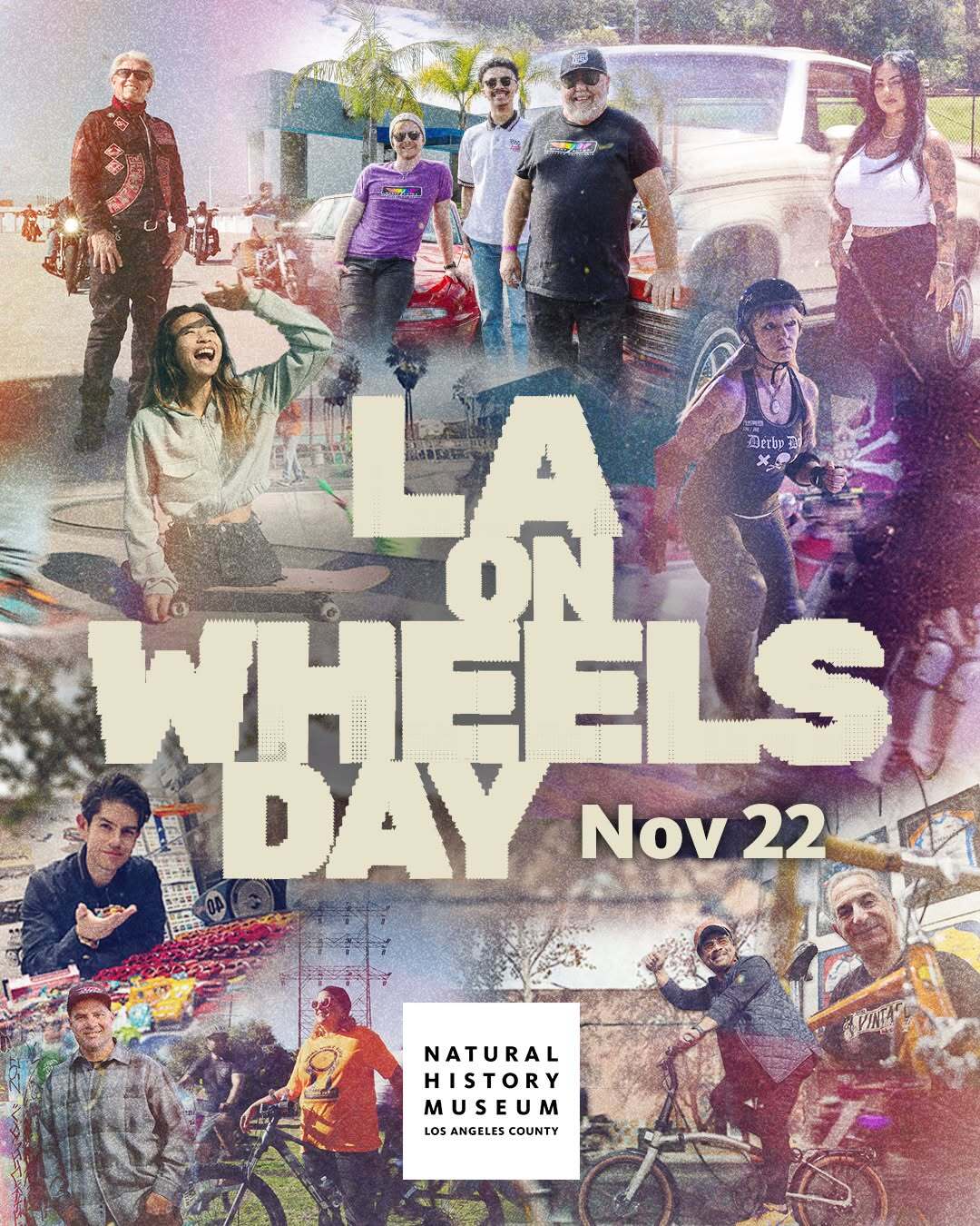 Photo collage of women either next to a car, bike, skateboard or motorcycles