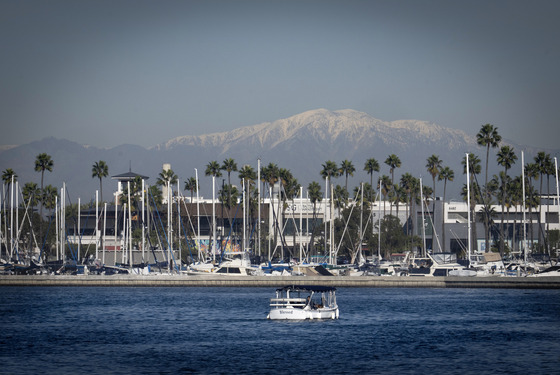 Boats at Alamitos Bay in Long Beach, palm trees, buildings and snow covered mountains in the background 