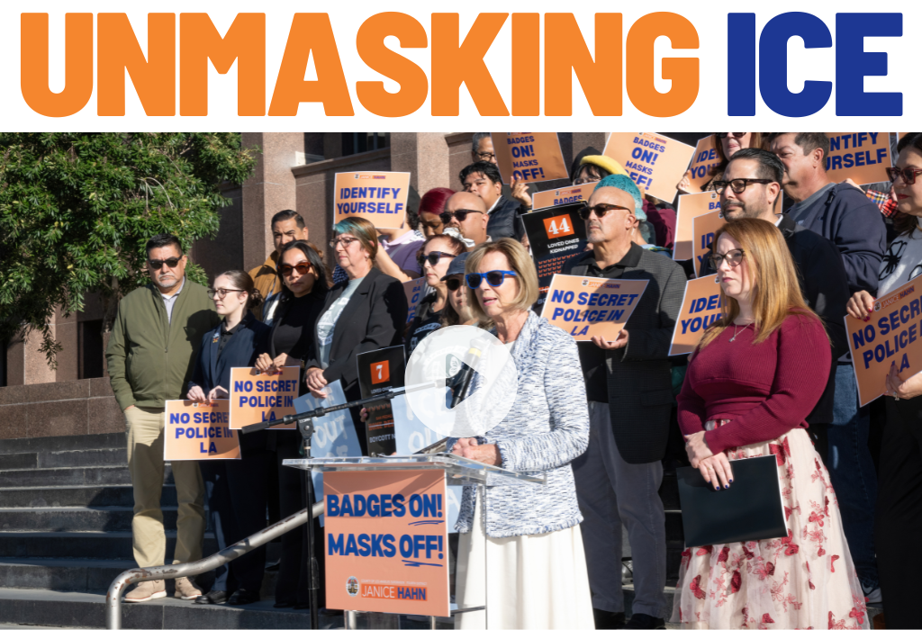 Unmasking ICE