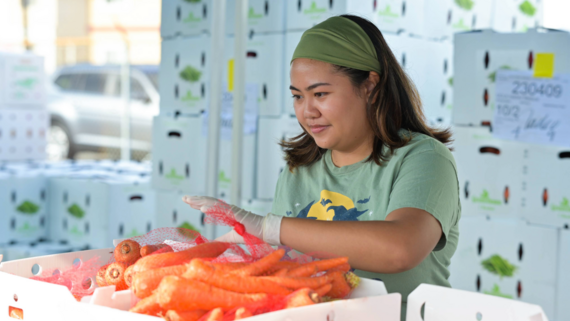 The pulse-food distribution