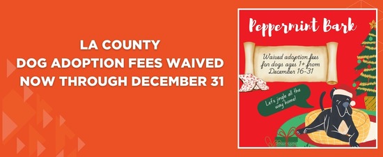 Waived Dog Adoption Fees