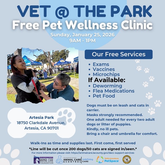 Vet at the park