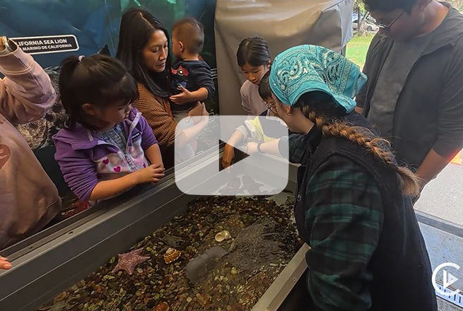 Men, women and children surround a water tub with sea creatures
