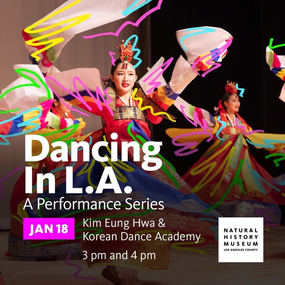 Women performing traditional dances from Korea on stage while wearing traditional Korean dresses