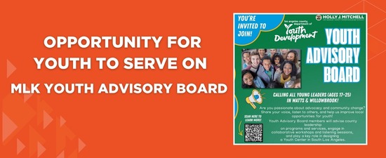 MLK Youth Advisory Board
