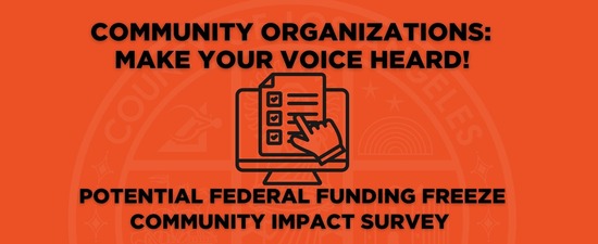 Community Impact Survey