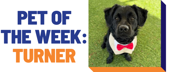 Pet of the week: Turner