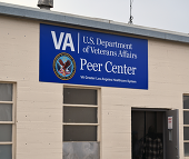 Peer Center One Year