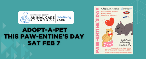 Adopt A Pet from our Carson Animal Shelter