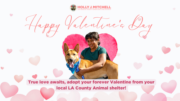 Valentine's Day Graphic