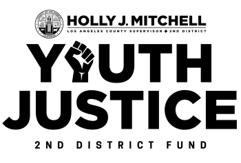 2nd District Youth Justice Fund