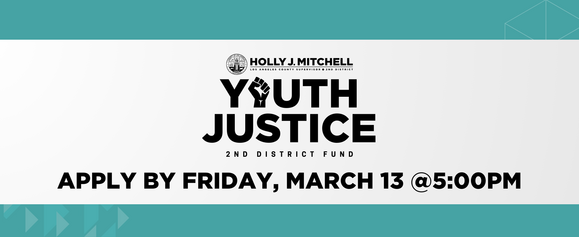 2nd District Youth Justice Fund