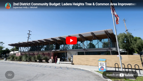 Tree & Common Area Improvement Workshops