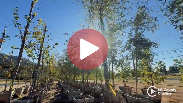 Landscape Recovery Center