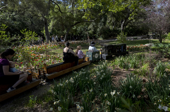 Women with children riding train through flowers and trees at Descanso Gardens