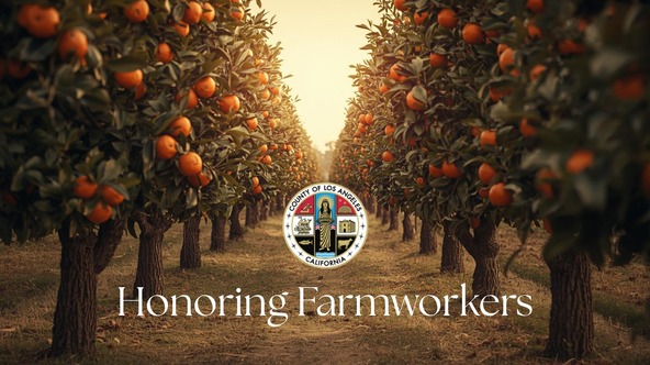 Honoring Farmworkers