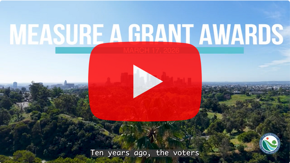 Click on the image to watch the highlight reel on Youtube.