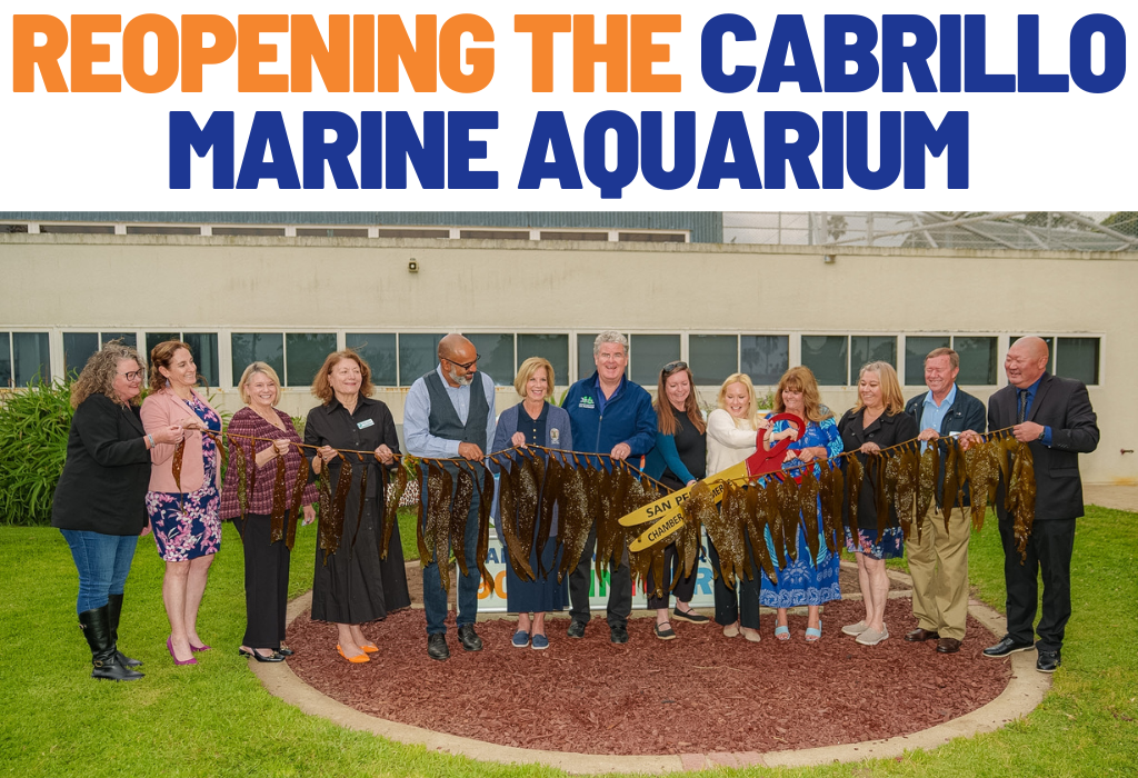 Reopening the Cabrillo Marine Aquarium