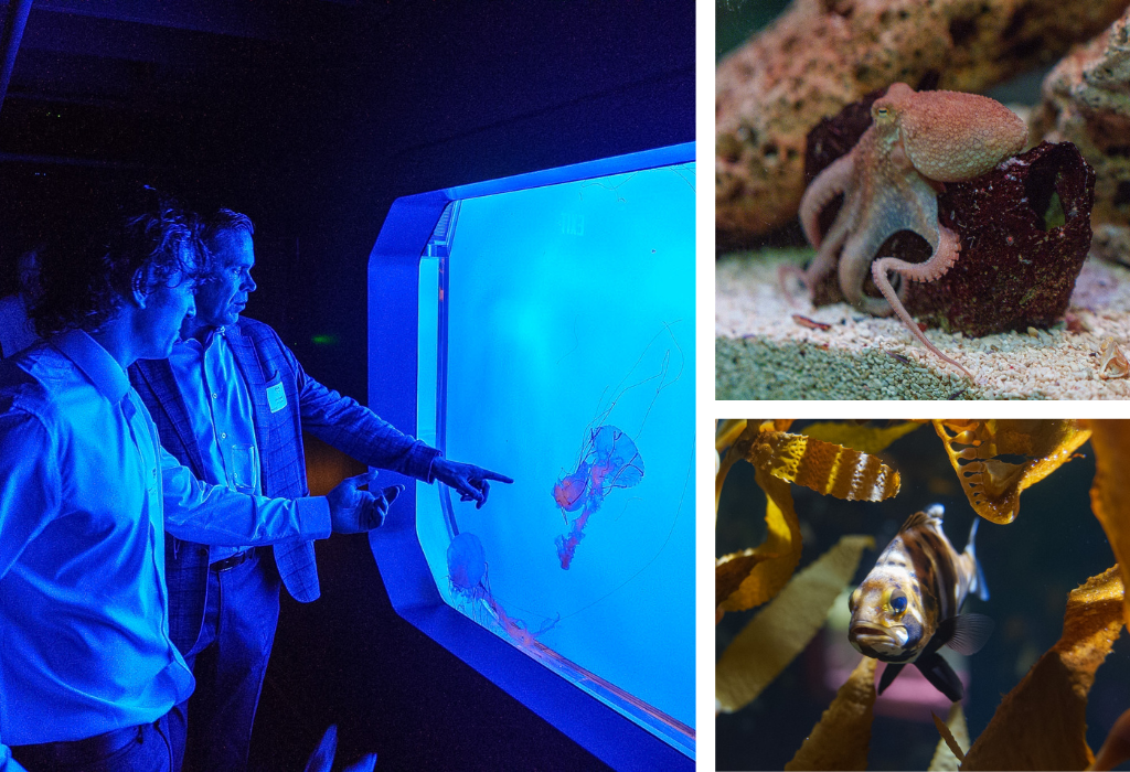 Aquarium photos