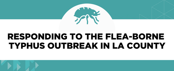 Responding to the Flea-borne  Typhus Outbreak in LA County