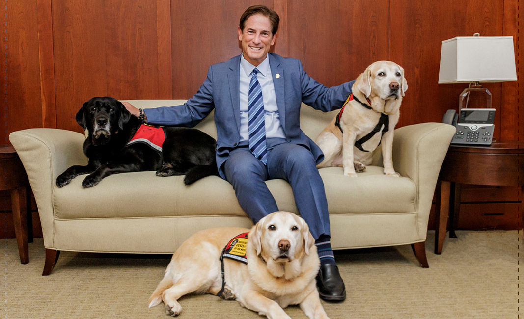 da-nl202604-Service Dogs
