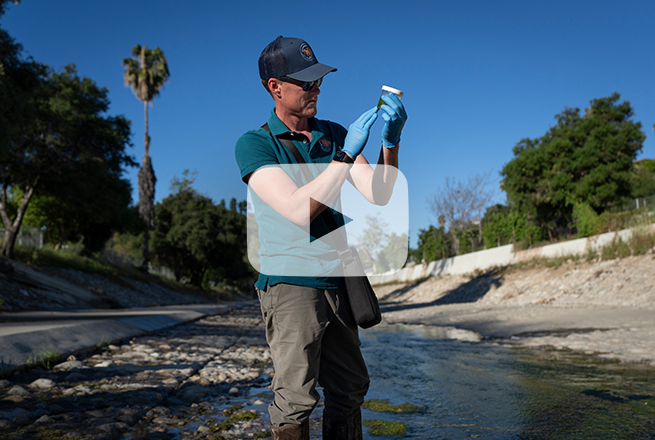 Man wearing polo t-shirt, hat, sunglasses gloves collects samples of black fly larvae along the Los Angeles River