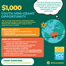 Youth Mini Grant Opportunity