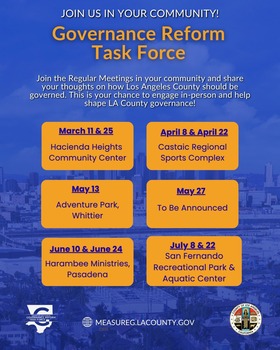 Governance Reform Task Force