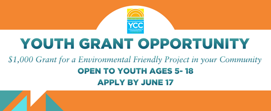 Youth Grant