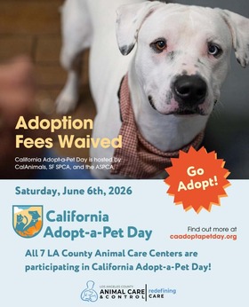Pet Adoption Fees Waived