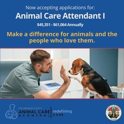 Animal Care Attendant 