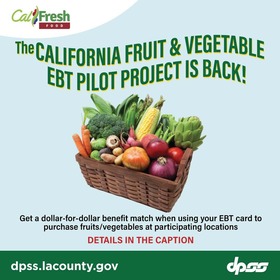 CalFresh