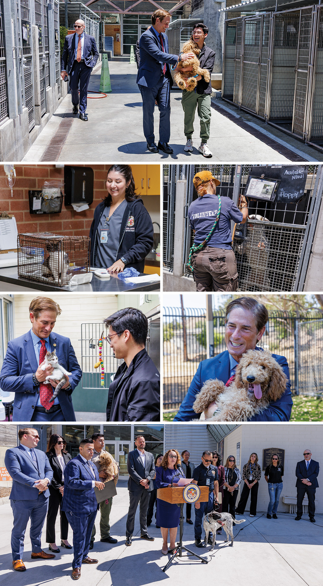 da-nl202606-Animal-Shelter