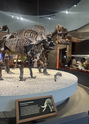 Reimagine La Brea Tar Pits funded partially by both Measure A and Proposition A 