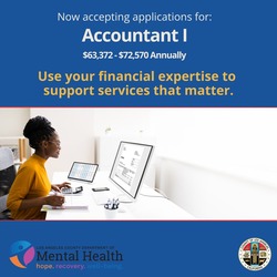Accountant