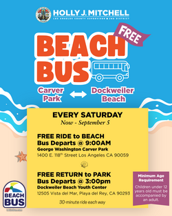 Beach Bus