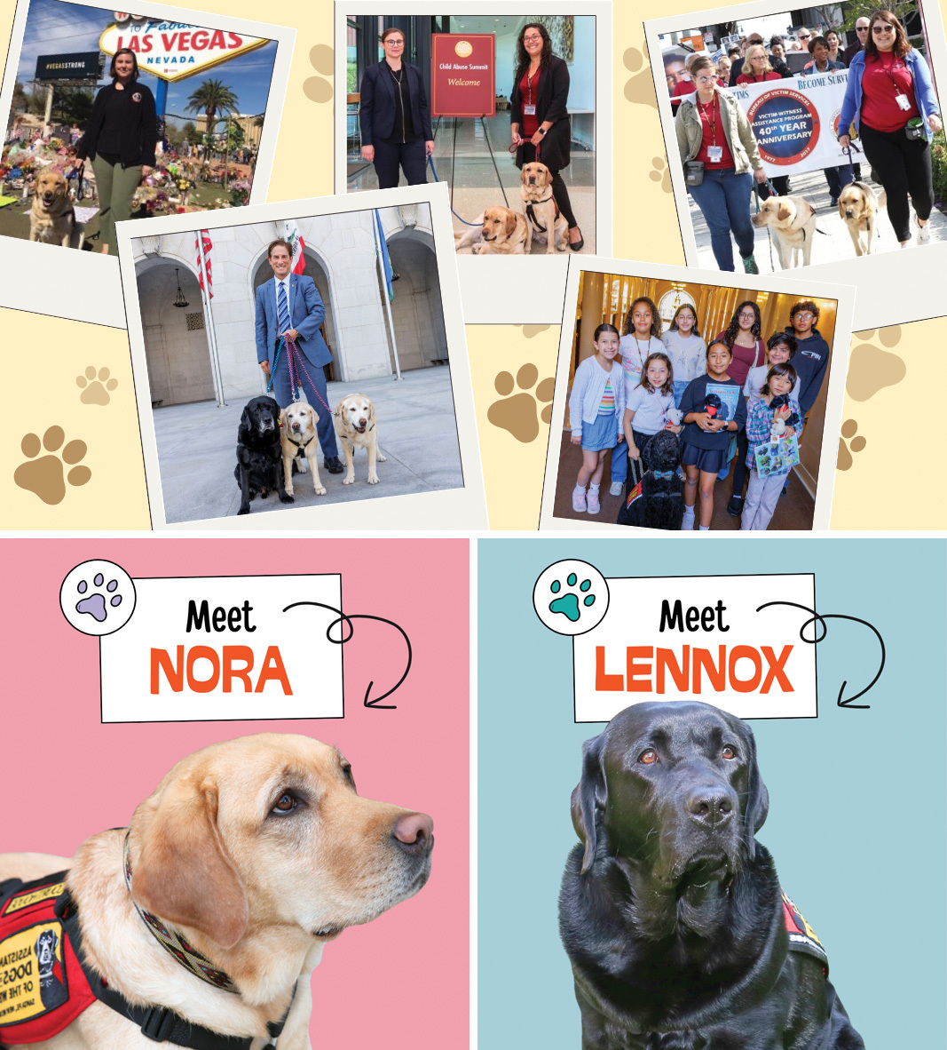da-nl202607-K-9-Working-Dogs