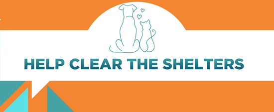 Help Us Clear the Shelters