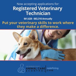 Registered Veterinary Tech