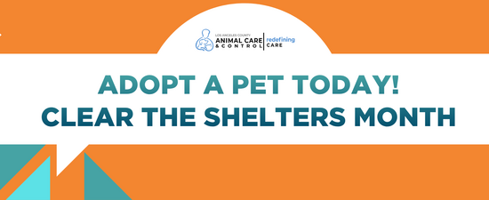 Adopt a Pet Today