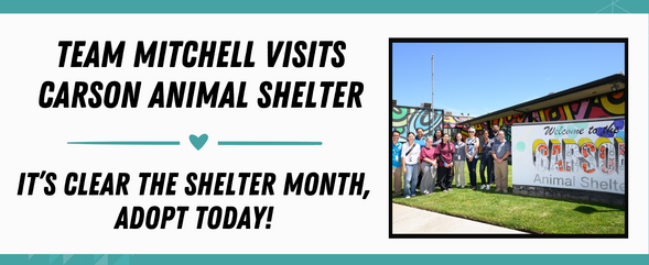 team mitchell visits carson animal shelter