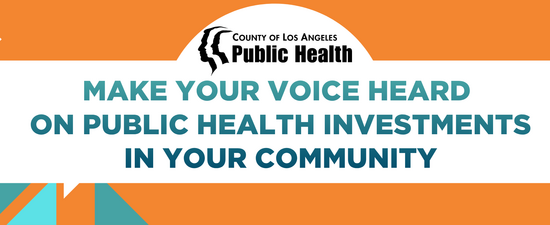 Public Health Investments
