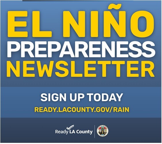 EN Newsletter