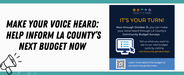 LA County's Budget Surveys