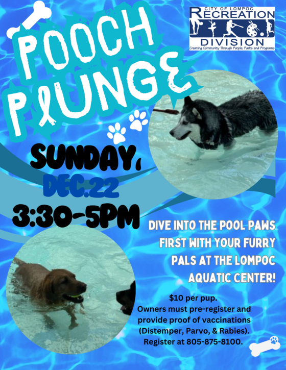 Pooch Plunge