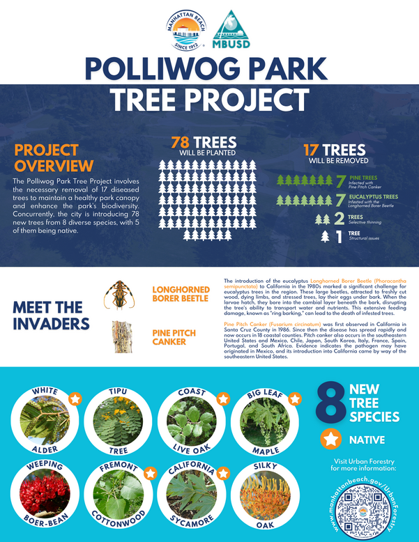 Polliwog Park Tree Project