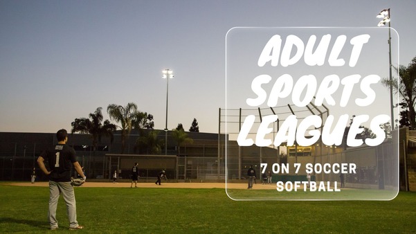 Adult Sports League