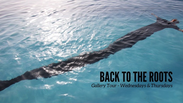 Back to the Roots Gallery Tour 