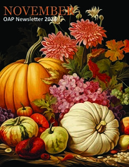 OAP November Newsletter