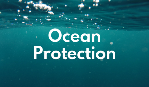 Ocean protection title